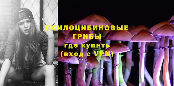 прущая мука Алзамай