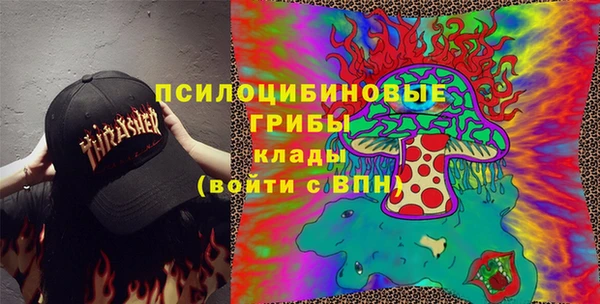 спайс Алексин