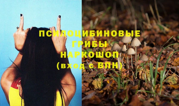 спайс Алексин