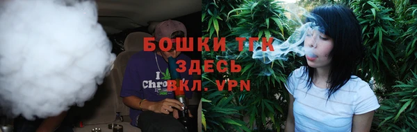 Альфа ПВП Ельня