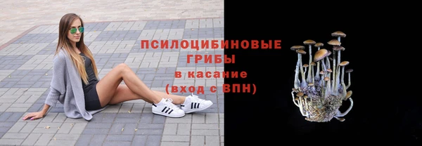 спайс Алексин