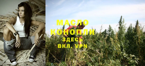 дмт Карпинск