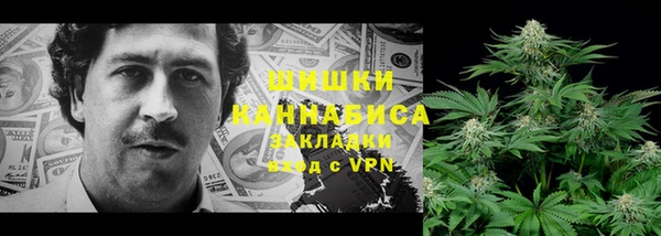 PSILOCYBIN Елизово