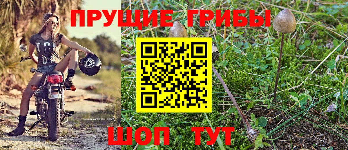Галлюциногенные грибы мухоморы  Вход с VPN  Уссурийск  Галлюциногенные грибы Cubensis 
